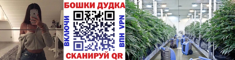 Купить наркоту Камызяк A-PVP  ГАШ  Марихуана 