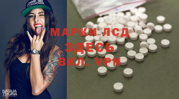 сатива Абинск