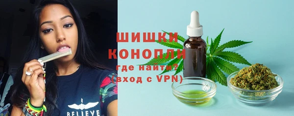 сатива Абинск