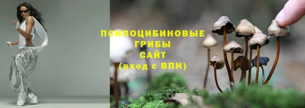 2c-b Абаза