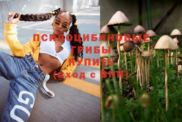 сатива Абинск
